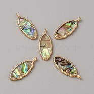 Resin Imitation Abalone Paua Shell Pendants, Horse Eye Charms, with Alloy Findings, Colorful, Light Gold, 23.5x9.5x2mm, Hole: 1mm(FIND-WH0417-12A)