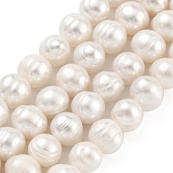 Natural Cultured Freshwater Pearl Beads Strands, Potato, Beige, 7~8mm, Hole: 0.6mm, about 26pcs/strand, 6.69 inch(17cm)(PEAR-C003-09C)