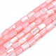 Natural Trochid Shell/Trochus Shell Beads Strands(SHEL-N003-26-B05)-1