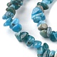 Natural Apatite Beads Strands(G-G0003-B08)-4