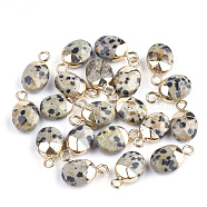 Electroplate Natural Dalmatian Jasper Charms, with Iron Findings, Faceted, Oval, Golden, 14~15x8x5~5.5mm, Hole: 1.8mm(X-G-S344-09C)