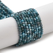 Natural Apatite Beads Strands, Faceted, Round, 2mm, Hole: 0.6mm, about 191pcs/strand, 14.96''(38cm)(G-G140-A15-07)