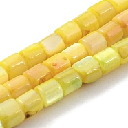 Natural Freshwater Shell Beads Strands, Dyed, Column, Yellow, 4~5.5x5mm, Hole: 0.6mm, about 74~75pcs/strand, 14.76~14.96 inch(37.5~38cm)(SHEL-F008-04E)