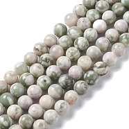 Natural Peace Jade Beads Strands, Round, 6mm, Hole: 1mm, about 59~60pcs/strand, 15.16~15.35 inch(38.5~39cm)(X-G-G905-07-6MM)