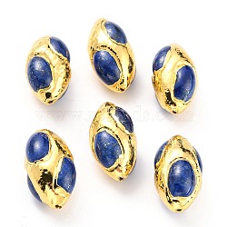 Natural Lapis lazuli Beads, with Golden Brass Findings, Oval, 30~31x16.5~18x17.5~18mm, Hole: 1mm(G-B011-04G)