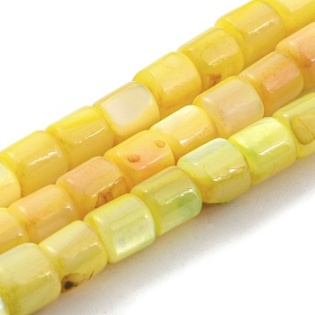 Natural Freshwater Shell Beads Strands, Dyed, Column, Yellow, 4~5.5x5mm, Hole: 0.6mm, about 74~75pcs/strand, 14.76~14.96 inch(37.5~38cm)