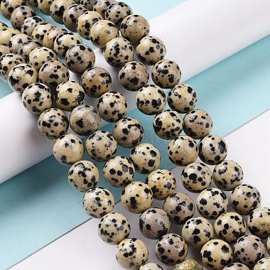 Natural Dalmatian Jasper Beads Strands(G-Q462-10mm-30)-6