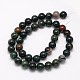 Natural Bloodstone Beads Strands(G-N0166-04-10mm)-2