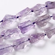 Rough Raw Natural Amethyst Beads Strands, Nuggets, 13.5~23.5x12~15x8~12mm, Hole: 1mm, about 22pcs/strand, 16.14''(41cm)(G-G010-09)