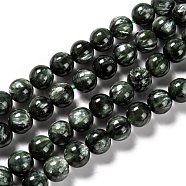 Natural Seraphinite Beads Strands, Round, Grade A, 12mm, Hole: 1.2mm, about 33pcs/strand, 15.51 inch(39.4cm)(G-E557-22D)