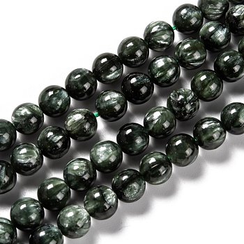 Natural Seraphinite Beads Strands, Round, Grade A, 12mm, Hole: 1.2mm, about 33pcs/strand, 15.51 inch(39.4cm)