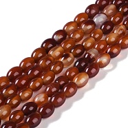 Natural Red Agate Beads Strands, Dyed & Heated, Oval, 8.5x6.5mm, Hole: 1.8mm, about 49~52pcs/strand, 15.75''(40cm)(G-NH0011-I01-02)
