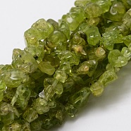 Grade A Natural Peridot Chip Bead Strands, 5~8x5~8mm, Hole: 1mm, about 32~32.5 inch(G-M298-05)