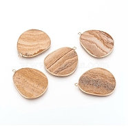 Natural Picture Jasper Pendants, with Brass Findings, Golden, 33.5~34x27x2mm, Hole: 1.5mm(G-E526-09J)