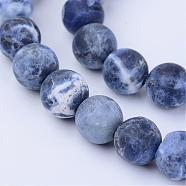 Natural Sodalite Beads Strands, Frosted, Round, 6~6.5mm, Hole: 1mm, about 63pcs/strand, 15.5 inch(G-Q462-6mm-07)