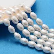 Natural Cultured Freshwater Pearl Beads Strands, Rice, Creamy White, 7~8mm, Hole: 0.8mm, about 34~35pcs/strand, 13.77 inch~14.17 inch(PEAR-L001-15)
