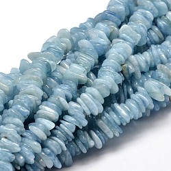 Natural Aquamarine Chip Beads Strands, 9~15x9~15mm, Hole: 1mm, about 15.3 inch~15.9 inch(G-E271-67)