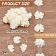 Polyester Lace Ribbon(OCOR-WH0078-158A)-2