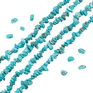 4 Strands Natural Turquoise Chip Beads Strands, 4~8x1~5mm, Hole: 0.5mm, 15.55~16.54''(39.5~42cm)(G-AR0005-52)