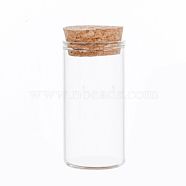 Mini High Borosilicate Glass Bottle Bead Containers, Wishing Bottle, with Cork Stopper, Column, Clear, 6x3cm, Capacity: 25ml(0.85fl. oz)(BOTT-PW0001-262C)