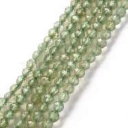 Natural Apatite Beads Strands, Round, Faceted, 2mm, Hole: 0.4mm, about 168~171pcs/strand, 15.35 inch(39cm)(G-S362-108A)