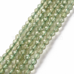 Natural Apatite Beads Strands, Round, Faceted, 2mm, Hole: 0.4mm, about 168~171pcs/strand, 15.35 inch(39cm)(G-S362-108A)