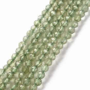 Natural Apatite Beads Strands, Round, Faceted, 2mm, Hole: 0.4mm, about 168~171pcs/strand, 15.35 inch(39cm)