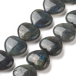 Natural Labradorite Beads Strands, Heart, 24~26x28~28.5x9~12mm, Hole: 1.5mm, about 15pcs/strand, 15.04~15.55 inch(38.2~39.5cm)(G-G996-B11)