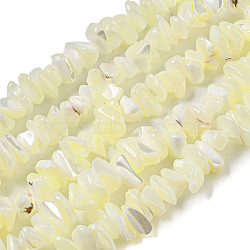 Natural Trochus Shell Beads Strands, Nuggets, Beige, 3~5x8~10x6~8mm, Hole: 0.7mm, about 110~112pcs/strand, 15.35~16.14''(39~41cm)(SSHEL-H072-12)