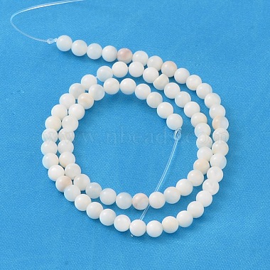 Natural Shell Beads Strands(PRS001Y)-2