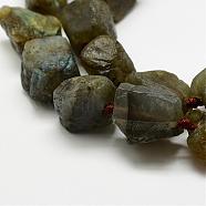 Natural Labradorite Beads Strands, Nuggets, 17~30x15~25x11~20mm, Hole: 3mm, about 15~18pcs/strand, 15.75 inch(40cm)(G-E382-02F)