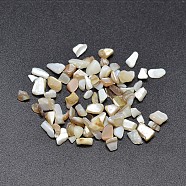 Dyed Natural Freshwater Shell Chips Beads, Shell Shards, No Hole, Pale Goldenrod, 2~7x2~5mm, about 1060pcs/50g(X-SHEL-O001-17B)