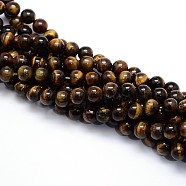 Natural Grade AB Tiger Eye Round Beads Strands, 6mm, Hole: 1mm, about 59~63pcs/strand, 15.5''(39.37cm)(G-YW0001-58A)