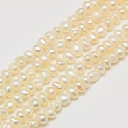 Grade AA Natural Cultured Freshwater Pearl Beads Strands, Two Sides Polished, Creamy White, 4~5mm, Hole: 0.7mm, about 90pcs/strand, 15.74 inch(PEAR-L003-C-03-01)