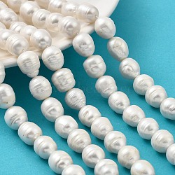 Natural Cultured Freshwater Pearl Beads Strands, Rice, Grade A, Old Lace, 11~12mm, Hole: 0.5mm, about 29pcs/strand, 13.98''(35.5cm)(PEAR-I007-01I-02A)