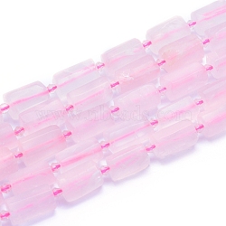 Frosted Natural Rose Quartz Beads Strands, Faceted, Column, 13~18x7~10.5mm, Hole: 1mm, about 19~21pcs/strand, 15.16 inch(38.5cm)(G-L552C-07)