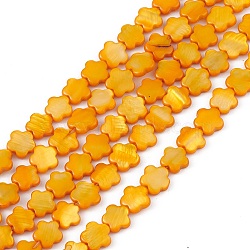 Natural Freshwater Shell Dyed Beads Strands, Flower, Orange, 8x8.5x3mm, Hole: 0.6mm, about 49pcs/strand, 15.35''(39cm)(SHEL-K001-001H)