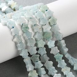 Natural Amazonite Beads Strands, Star, 6x6x2.5mm, Hole: 0.7mm, about 71~73pcs/strand, 14.37''~14.96''(36.5~38cm)(G-G085-B45-02)