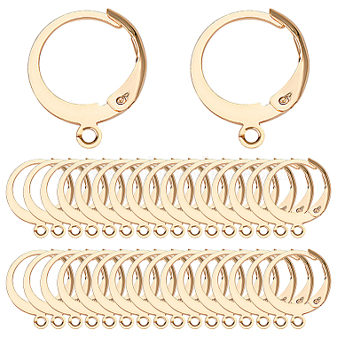 Real 18K Gold Plated 304 Stainless Steel Leverback Earring Findings