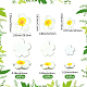 3 Styles Plastic Cabochons(FIND-SC0019-49)-2