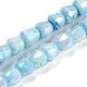Electroplate Glass Beads Strand(GLAA-G088-03-01C)-1