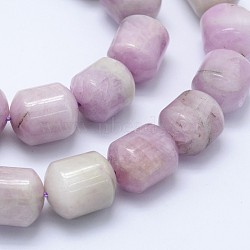 Natural Kunzite Beads Strands, Spodumene Beads, Column, 14~15x12mm, Hole: 1mm, about 28pcs/strand, 15.94 inches(40.5cm)(G-I206-15-C)