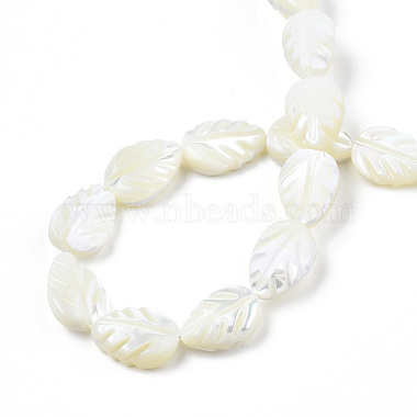 Natural Trochid Shell/Trochus Shell Beads Strands(SSHEL-N034-135B-01)-4