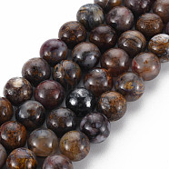 Natural Pietersite Beads Strands, Round, 8~9mm, Hole: 1mm, about 45~48pcs/strand, 15.7 inch(G-R446-8mm-13)