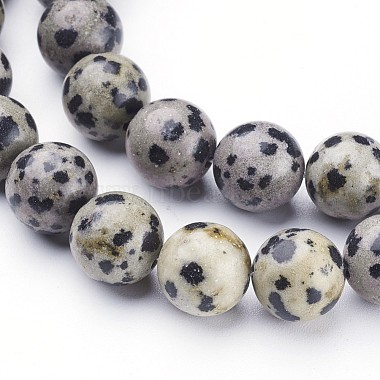 Natural Dalmatian Jasper Beads Strands(X-GSR10mmC004)-2