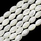 Natural Trochid Shell/Trochus Shell Beads Strands(SH-CBA2978-09)-1