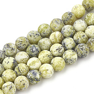 Natural Yellow Turquoise(Jasper) Beads Strands, Frosted, Round, 10mm, Hole: 1.2mm, about 37~40pcs/strand, 14.9~15.1 inch(38~38.5cm)(G-T106-299)