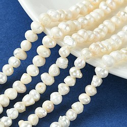 Natural Cultured Freshwater Pearl Beads Strands, Potato, Seashell Color, 4.5~6.5x4~6.5mm, Hole: 0.6mm, about 60~73pcs/strand, 12.36~13.66 inch(31.4~34.7cm)(PEAR-N013-05H)