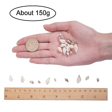 perles de coquillages en spirale(SSHEL-PH0002-28)-2