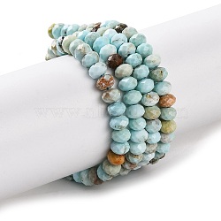 Natural Howlite Beads Strands, Dyed, Faceted, Rondelle, Pale Turquoise, 4.5x3mm, Hole: 0.8mm, about 123~127pcs/strand, 15.24~15.55''(38.5~39.5cm)(G-H025-03C-09)